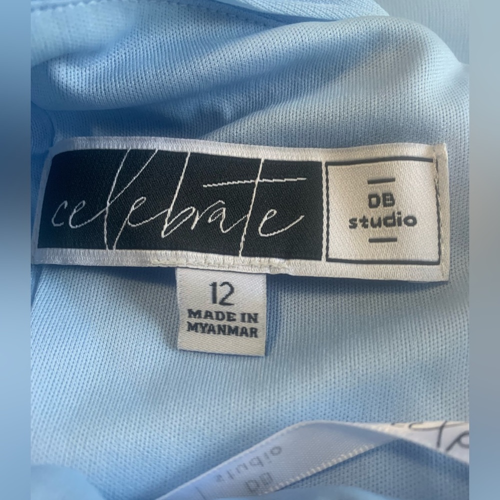 David’s Bridal size 12 beautiful blue